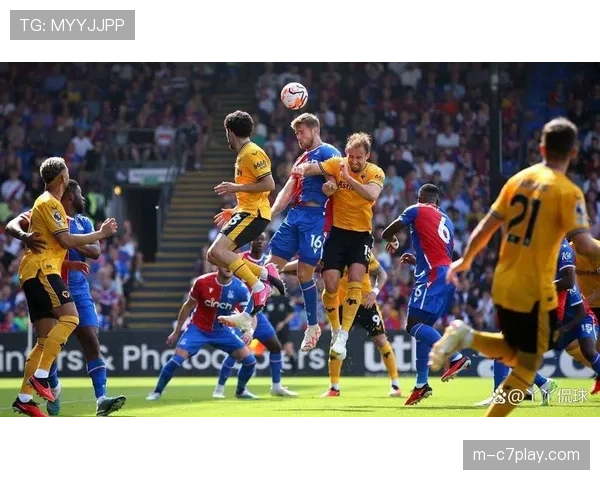 水晶宫1-0小胜狼队,唯一进球来自快速边路反击